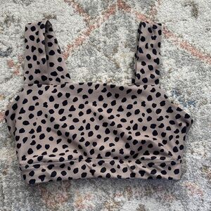 Gilly Hicks cheetah bra